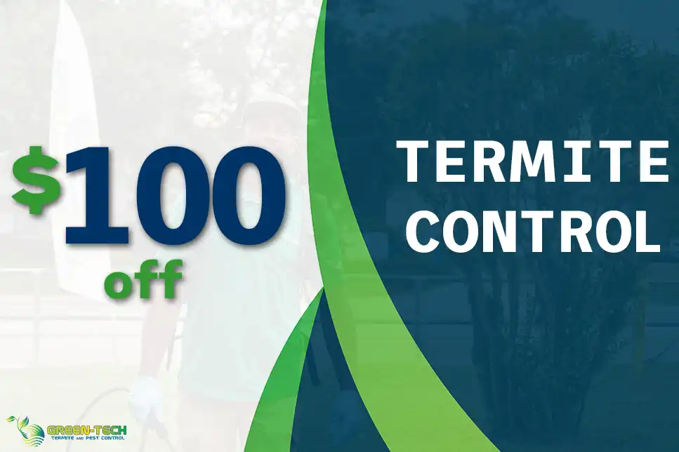 $100 Off Termite Control Service with Green-Tech Termite and Pest Control in Palm Harbor FL