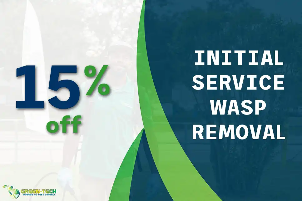 15% Off Initial Service for Wasp Removal with Green-Tech Termite and Pest Control in Palm Harbor FL