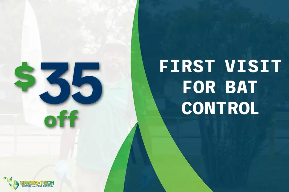 $35 Off First Service for Bat Control with Green-Tech Termite and Pest Control in Palm Harbor FL