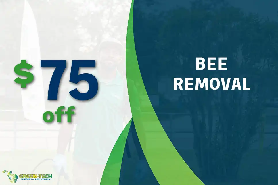 $75 Off Bee Removal Service for Bat Control with Green-Tech Termite and Pest Control in Palm Harbor FL