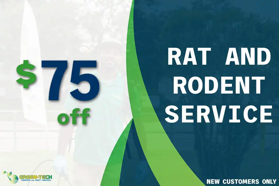 $75 Off Rat and Rodent Service with Green-Tech Termite and Pest Control in Palm Harbor FL