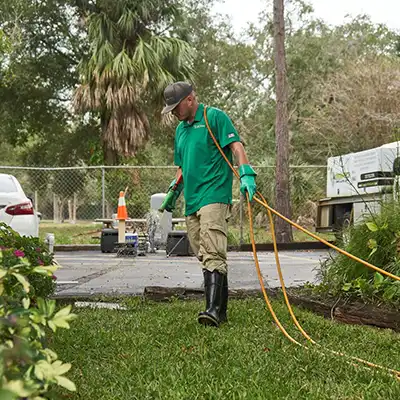 Lawn Treatment by Green-Tech Termite and Pest Control - Palm Harbor FL